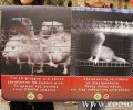 Ακύρωσε το Υπ. Παιδείας το «περιβαλλοντικό» πρόγραμμα εκπαίδευσης που διαφήμιζε στα παιδιά τον βασανισμό γουνοφόρων ζώων στην Καστοριά